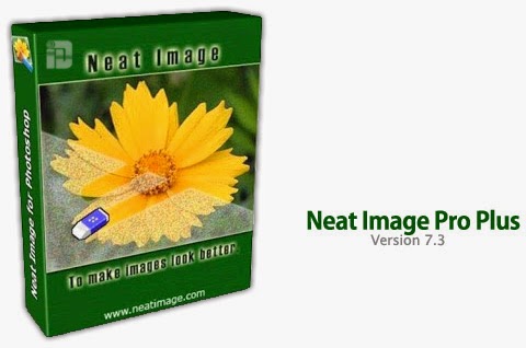 Neat Image v8 Crack Registration Code Full bit bit